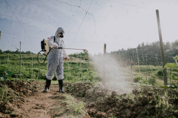 Best Best Pest Control Companies  in Canonsburg, PA