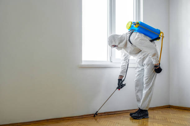 Best Residential Pest Control  in Canonsburg, PA